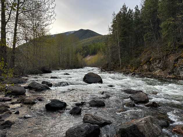 creek_wyoming.jpeg